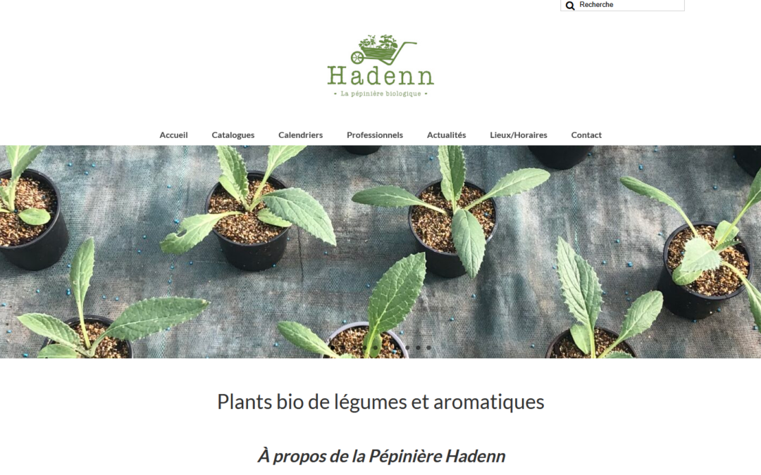 Hadenn, vente de Plants bio de légumes et aromatiques