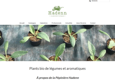 Hadenn, vente de Plants bio de légumes et aromatiques